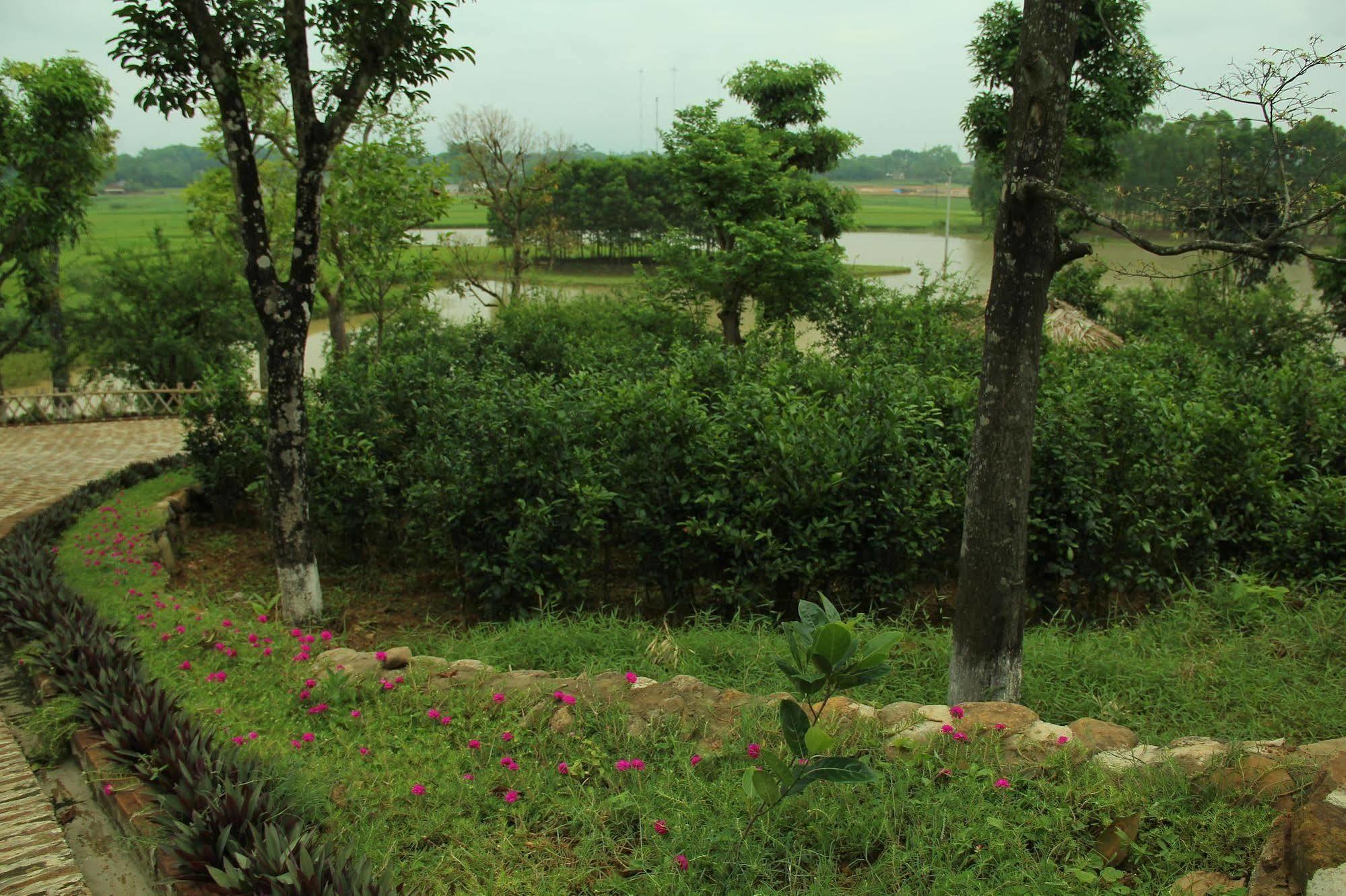 Moon Garden Homestay Son Tay Eksteriør billede