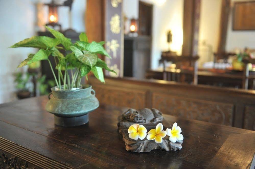 Moon Garden Homestay Son Tay Eksteriør billede